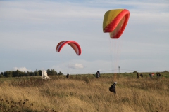 img_3785