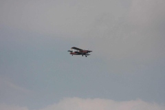 img_6559