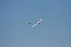 img_6835