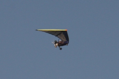 img_0754