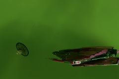 Screenshot_0381